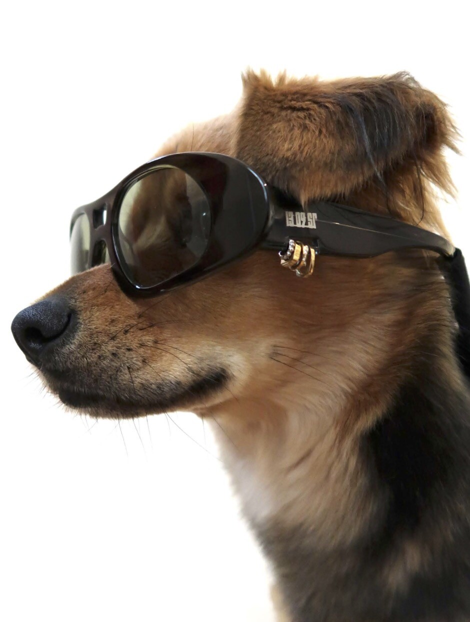 1309SR Product Descriptions - © Hot Copy