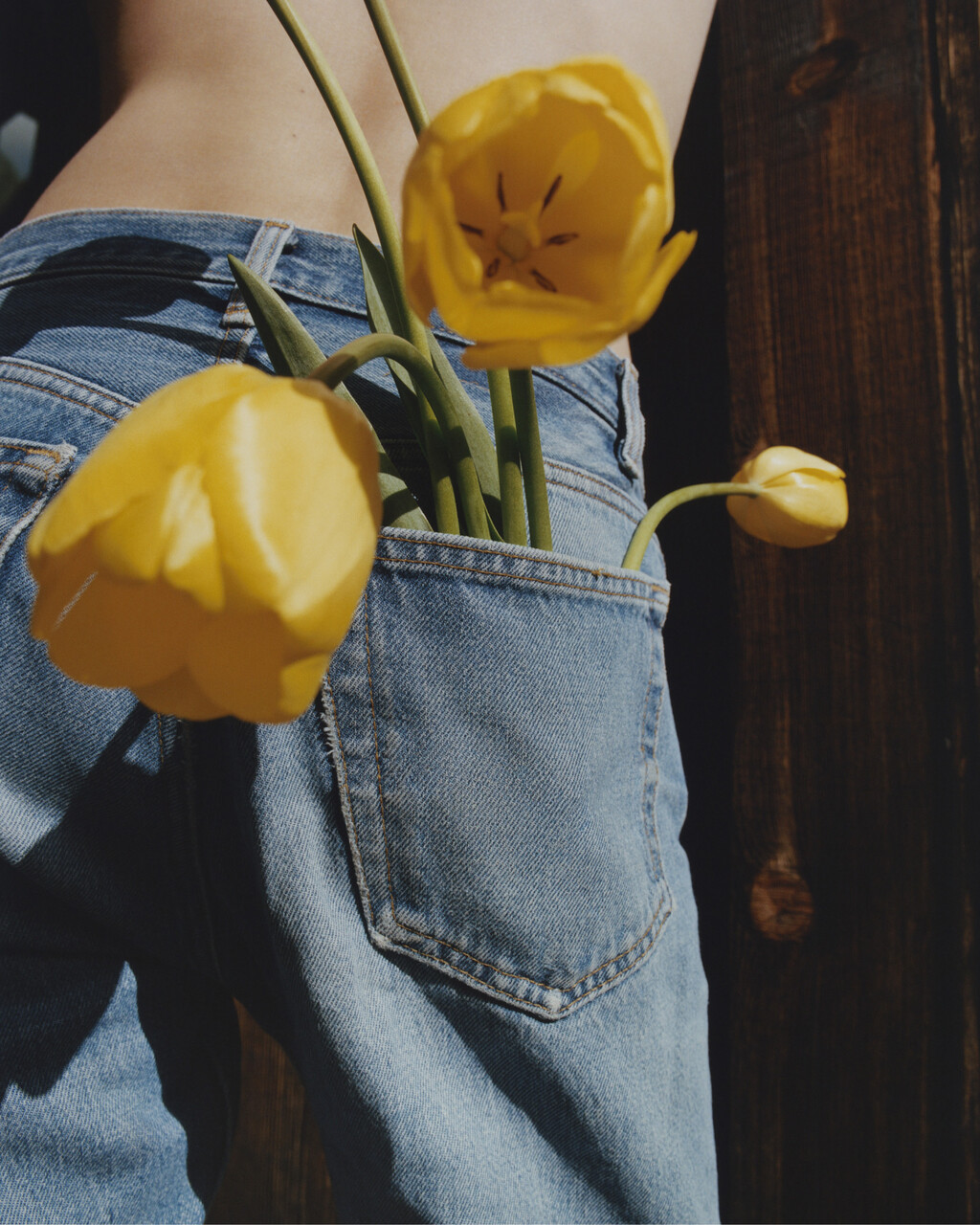 Birkenstock 1774 Eternal Sunshine - © Hot Copy