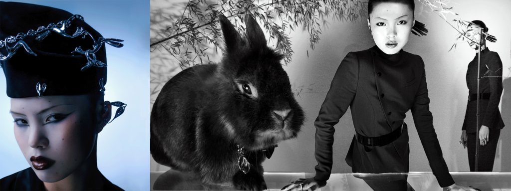 KVK Bunny Campaign - © Hot Copy