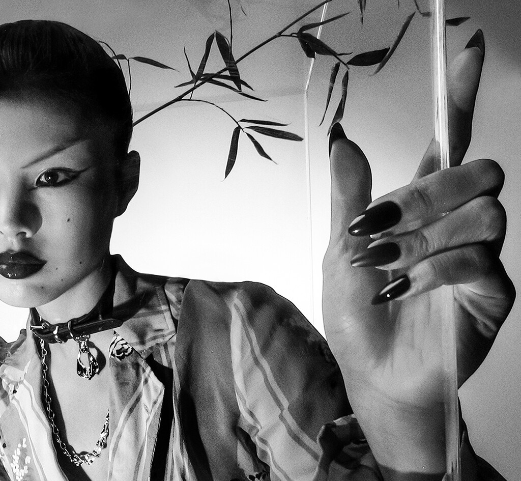 KVK Bunny Campaign - © Hot Copy