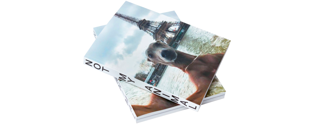 Not my Animal - © Hot Copy