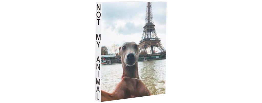 Not my Animal - © Hot Copy